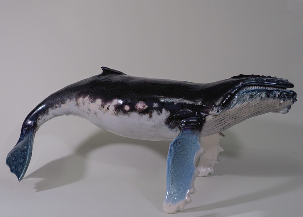 Ballena Yubarta