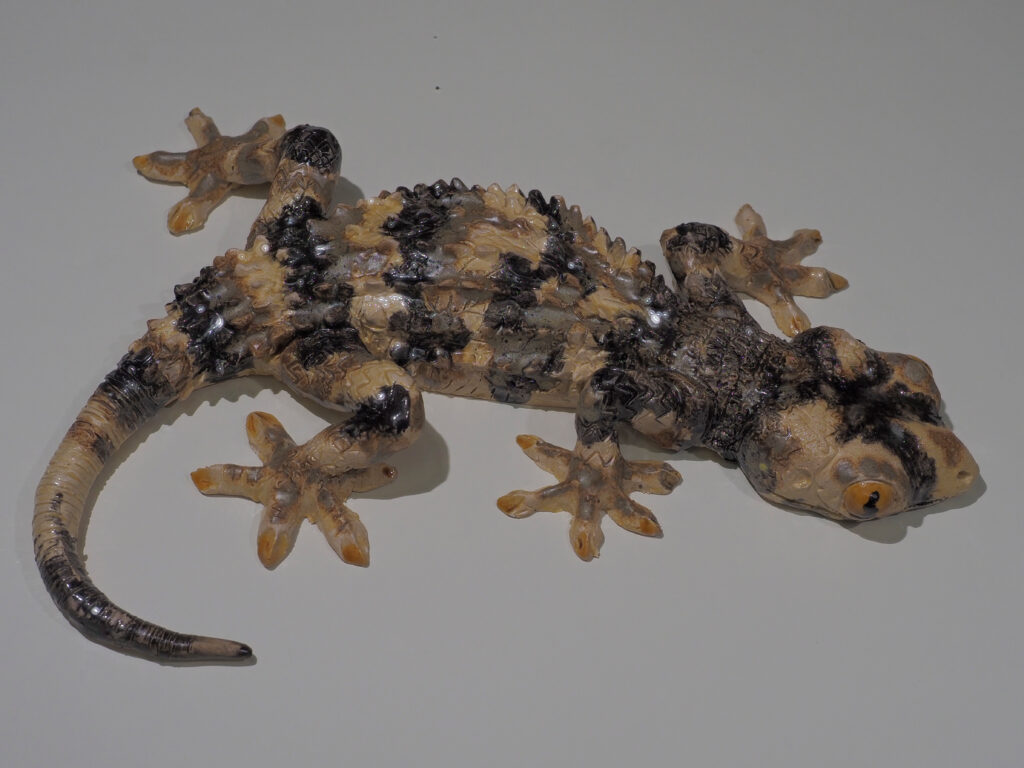 Salamanquesas