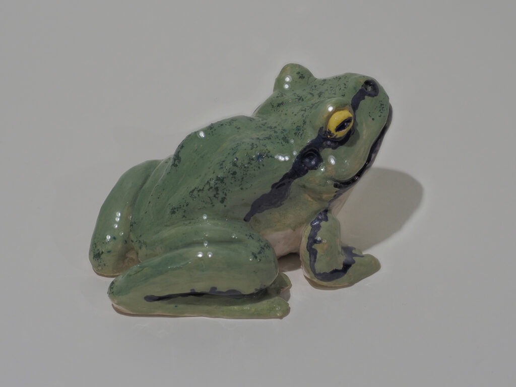 Ranas de la Suerte
