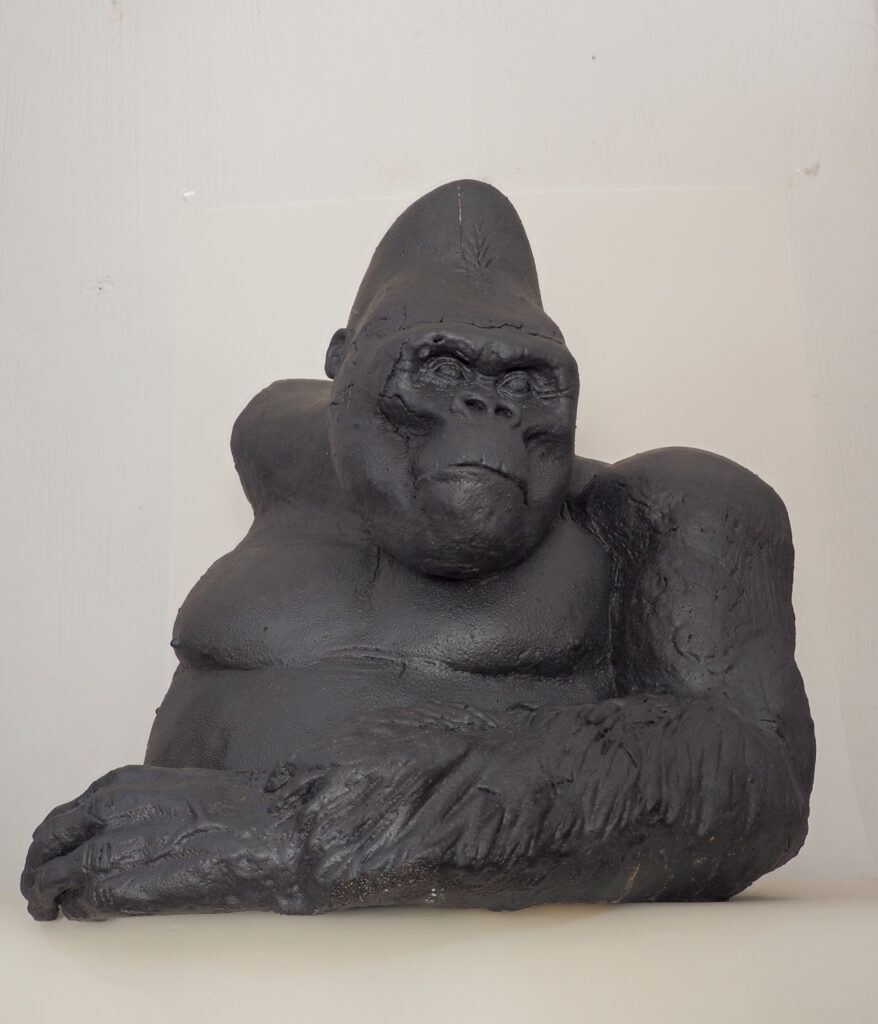 Gorgo, Gorila de Llanura Occidental