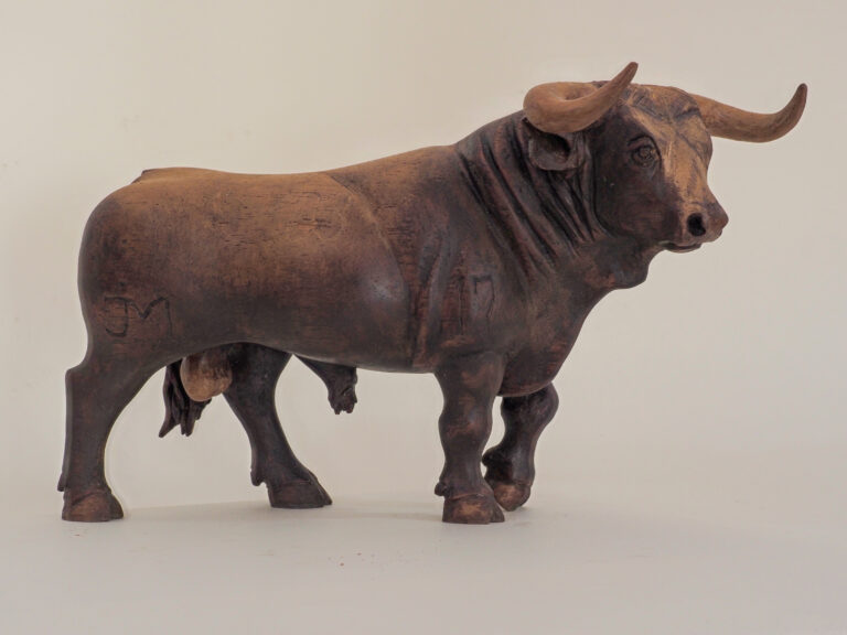 Toro de lidia