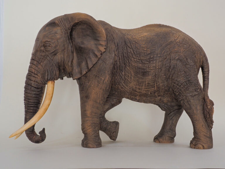 Eleazar, elefante macho
