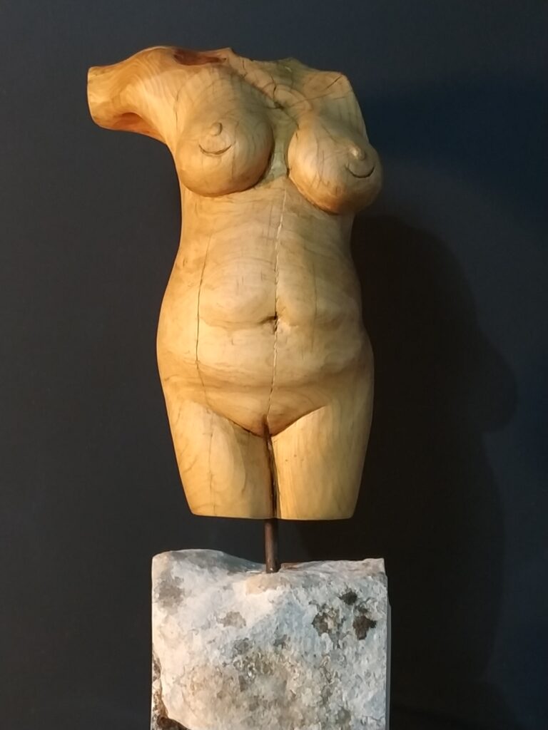 Gallery Title Here